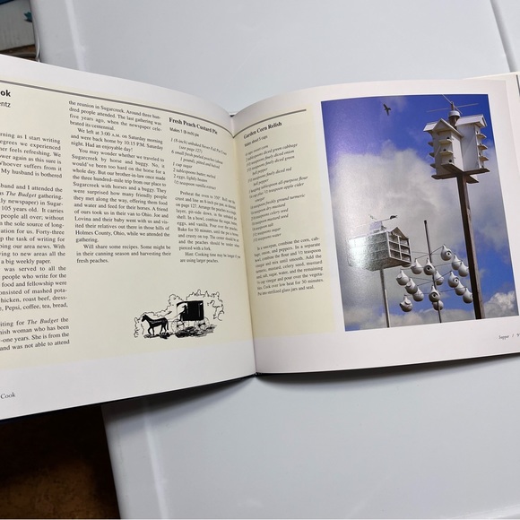 The Amish Cook Hardcover First Edition Book By Coblentz & Williams - Picture 13 of 16